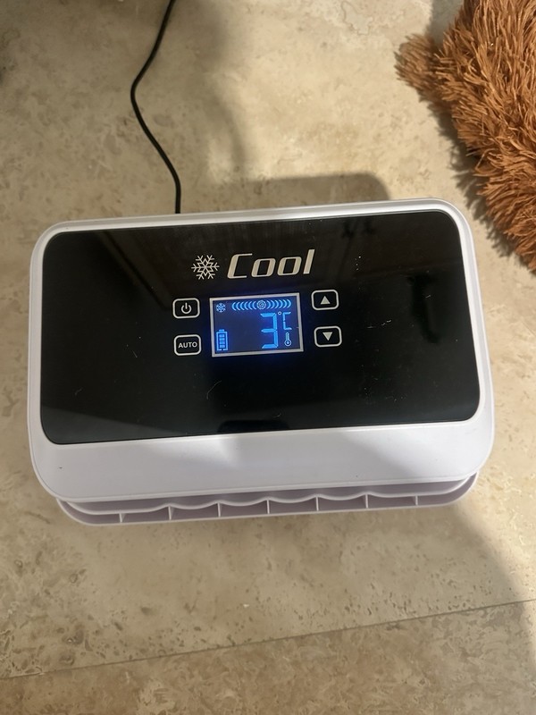 Peptide/insulin Cooler