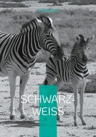 Schwarz-Weiß Reise In Afrika Jo Walsdorff Taschenbuch 296 S. Deutsch 2024