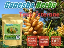 Organic PINE POLLEN 99% Broken Cracked Cell Wall (wild harvested) 200g. 7.2 oz.