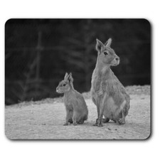 Alfombrilla de ratón rectangular BW - animal conejo mara patagónico #39355