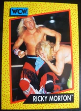 1991 Impel WCW Ricky Morton #100, WWE, WWF, WCW, AEW NM