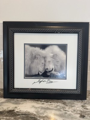 Siegfried & Roy Signed Framed White Lions of Timbavati