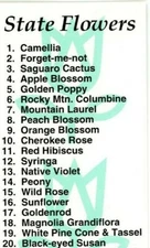 1997 State Flowers Bookmark Demco USA Camellia Forget-me-not Saguaro Cactus 