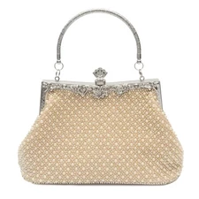 1920s Vintage Beaded Clutch – Elegant Champagne Evening Bag for Women