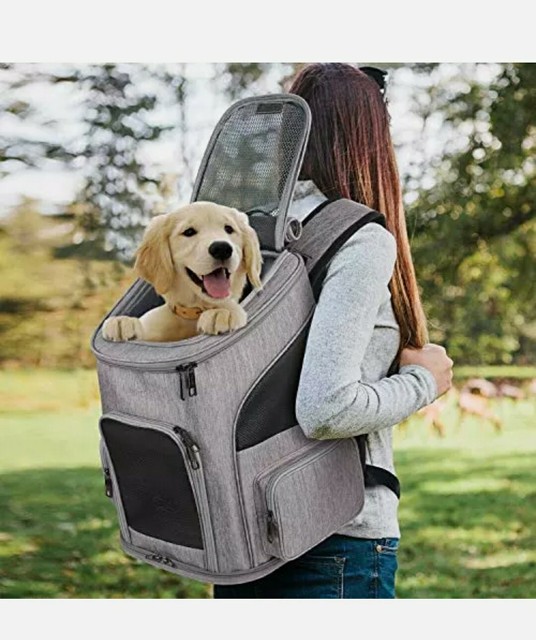 ytonet dog backpack