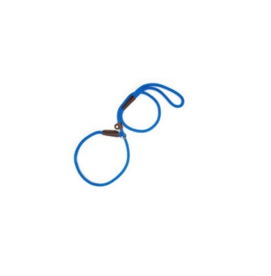 MENDOTA Slip Lead for Dogs Blue 1/2 x 6' 