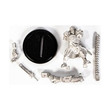 Warmachine Cygnar Loose Captain Maxwell Finn #11 NM