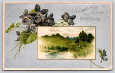 Birthday Postcard with a landscape view and violets on a textured silver field