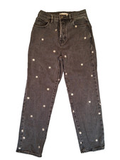 Pacsun High Rise Straight Size 23 Floral Embroidered Faded Black