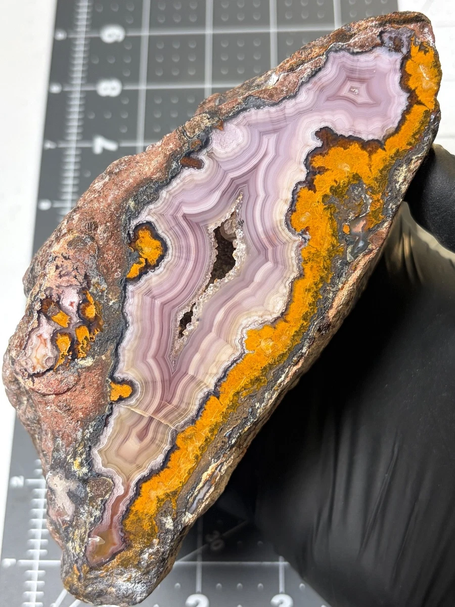 【コレクターズアイテム】ラグーナアゲート ラグナ アゲート 瑪瑙 原石 784,5g AG237 瑪瑙 鉱物 天然石