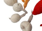 Bild 3 von 8