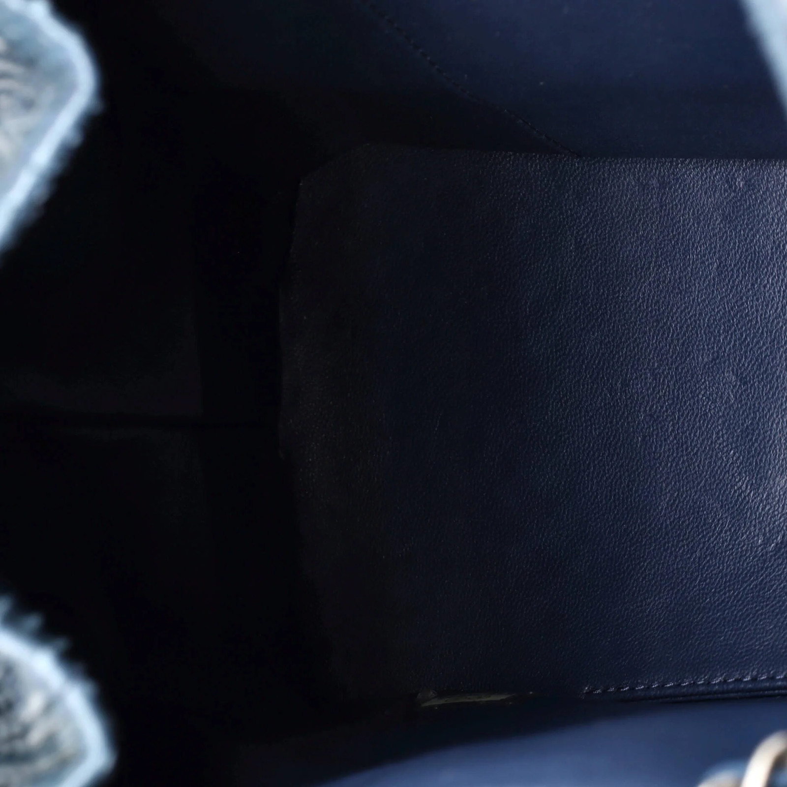 Chanel Gabrielle Backpack Python Small - image 5