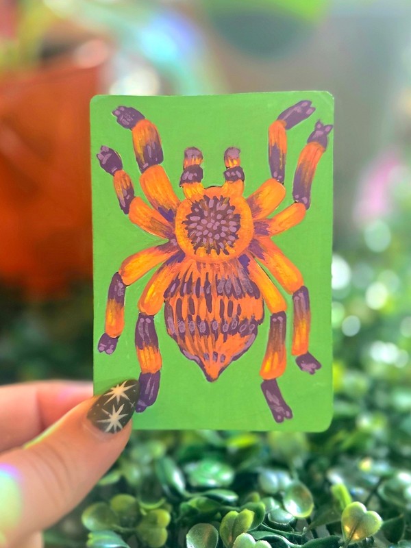 ACEO Original Halloween Spider Acrylic Painting Bug Art 9/16 Signed Ziggy Sands