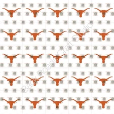 Texas Longhorn Waterslide Nail Art Decals Set Of 50 Instructions Bonus JH