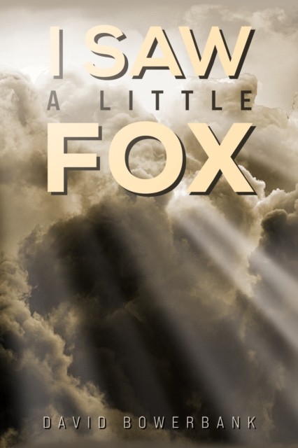 I Saw a Little Fox by David Bowerbank (Paperback Book)