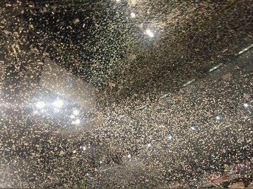 Paquete gigante de 5.000 piezas de confeti de concierto de gira en vivo de Adele - Imagen 5 de 10