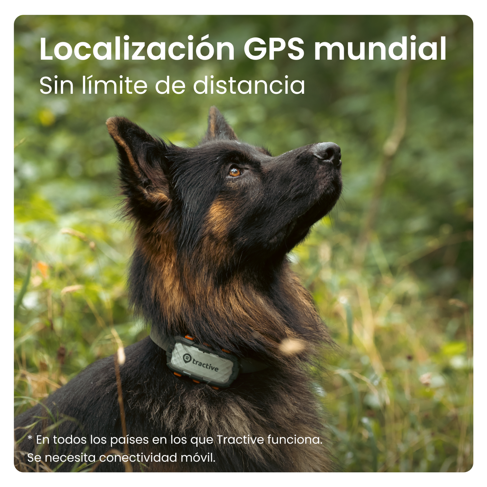 Imagen 2 de 11