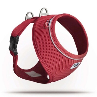 Curli Basic Geschirr Air-Mesh Hundegeschirr Brustgeschirr diverse Größen/Farben