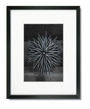 16X20 EcoLine Black Picture Frame with Single White Mat for 12x16