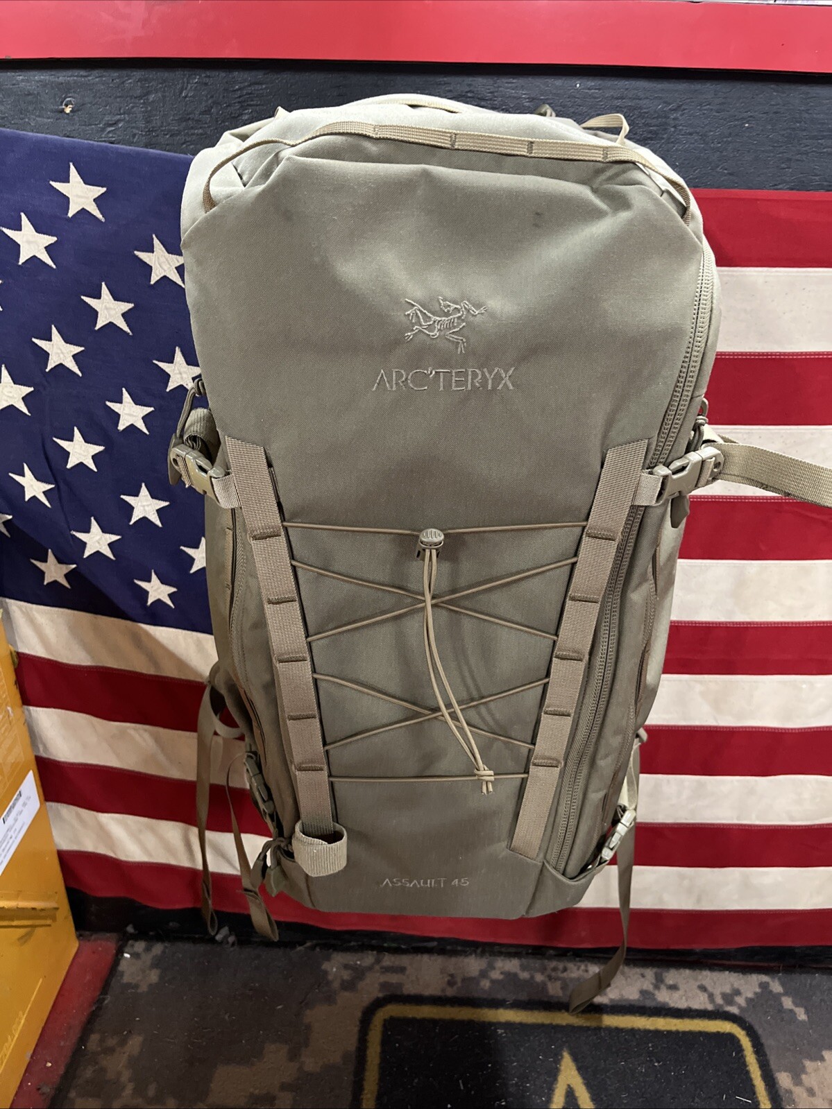 Arc’teryx LEAF Assault Pack 45 Crocodile