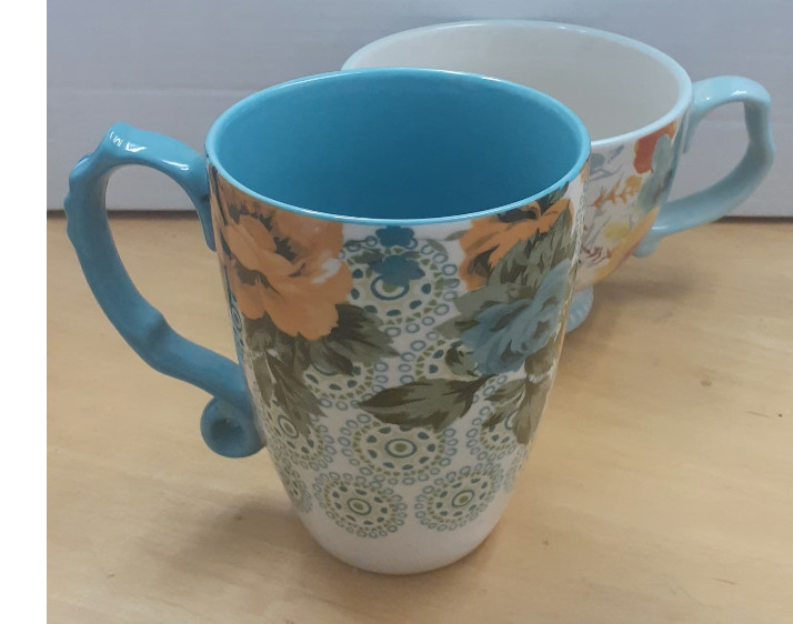 2 Pioneer Woman Collection Willow Soup Bowl/Large Coffee 27oz And 24oz Mug