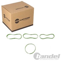 Dr.Motor Automotive Dichtungssatz AnsaugbrÜCke Passend FüR Ford B-MAX C-MAX
