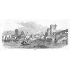 PAVIA Italy View of the City - Antique Print 1859