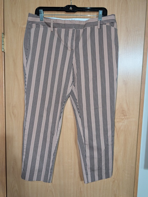 Worthington Tan and Black Striped Cropped Pants Size 10P