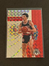2019-20 Panini Mosaic Drazen Petrovic International Men Of Mastery Mosaic #25