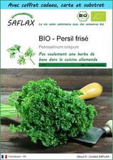SAFLAX Kit cadeau - BIO - Persil frisé - 800 graines - Petroselinum