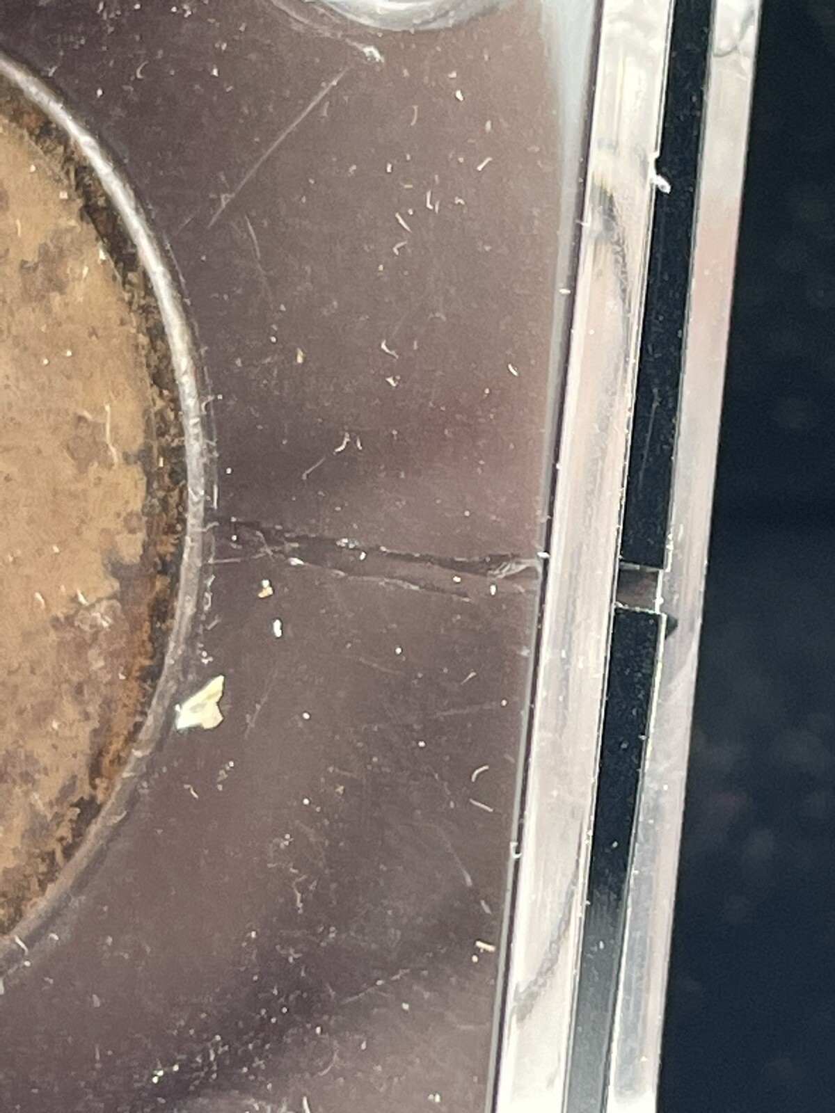 Picture 3 of 7