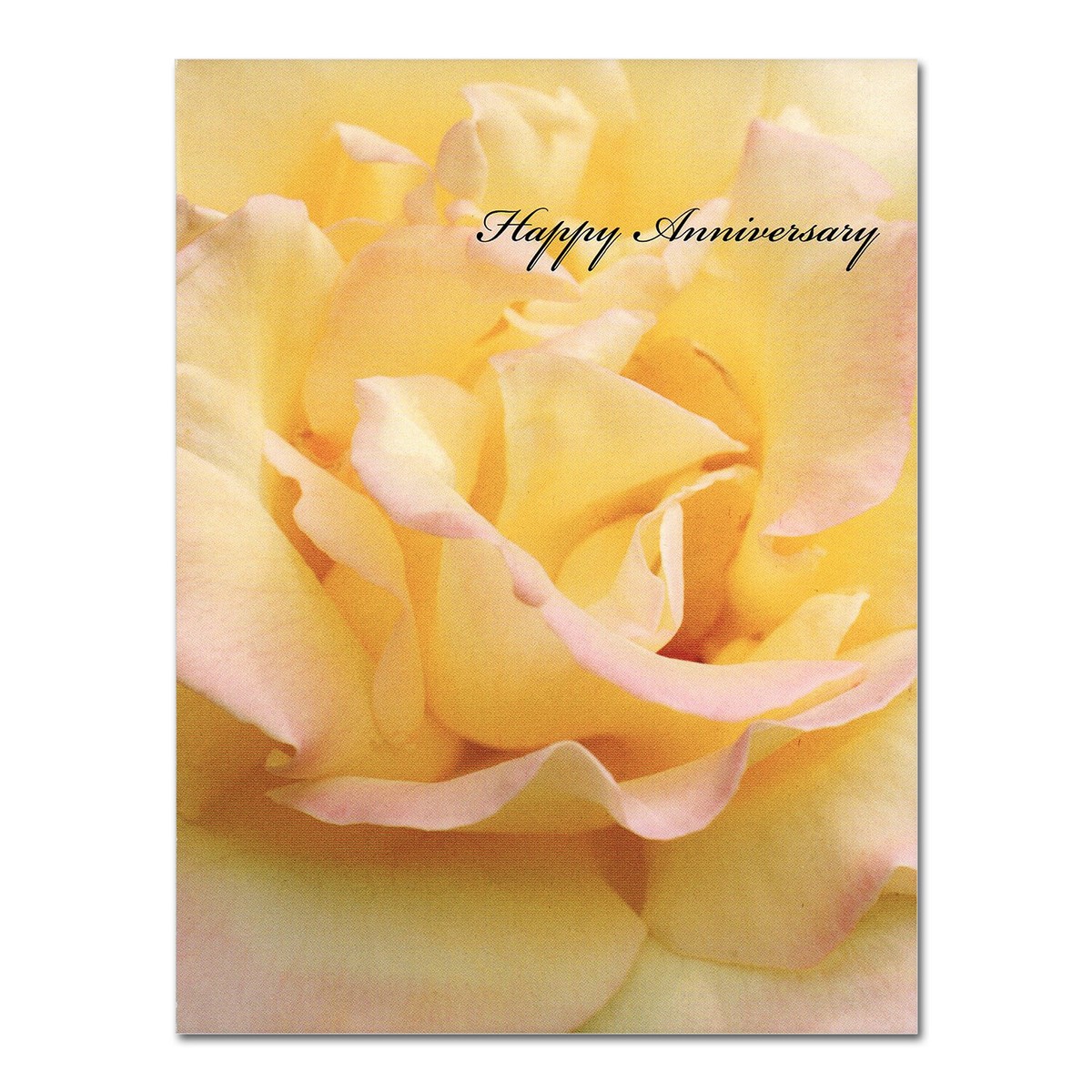 シエリー HAPPY ANNIVERSARY Card, by American Greetings, White, Yellow