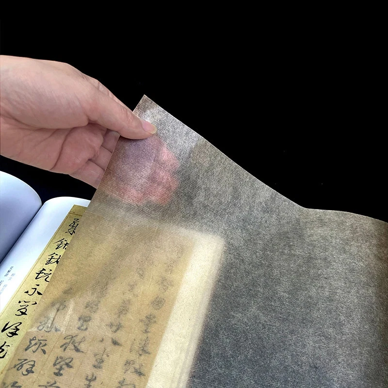 Xuan Papier Reispapier Kalligraphiepapier Malpapier dünn lang 20m Rolle - Bild 4 von 4