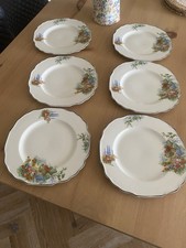 6 Vintage Myott Staffordshire plates Beautiful Lynton cottage and garden pattern