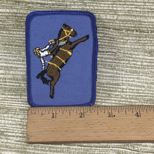 Rodeo Saddle Bronc Bronco Vintage Embroidered Sew On Riding Patch Free Ship #3 - Picture 3 of 11
