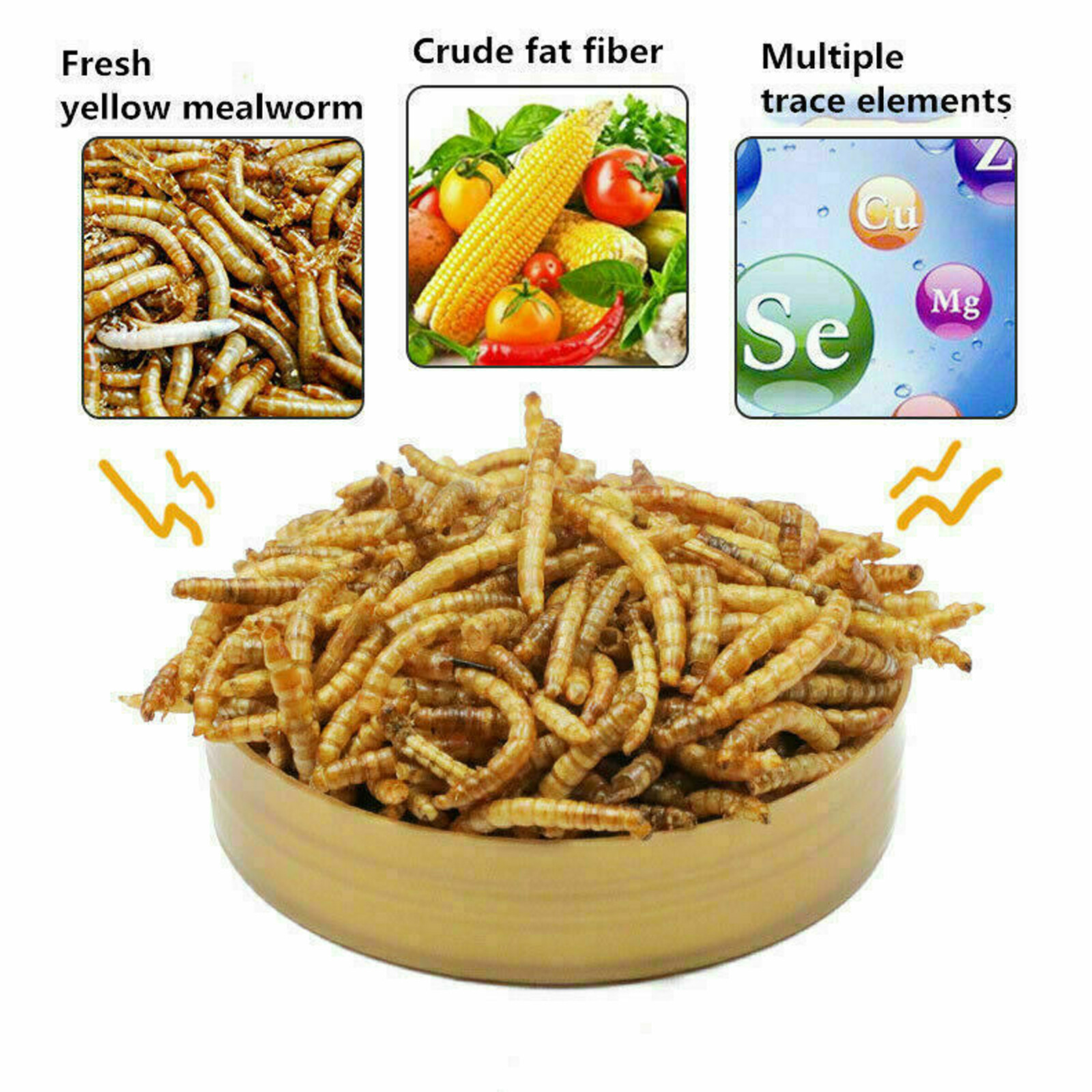 22 lbs Dried Mealworms NonGMO Chicken Treats for Duck Feed Organic