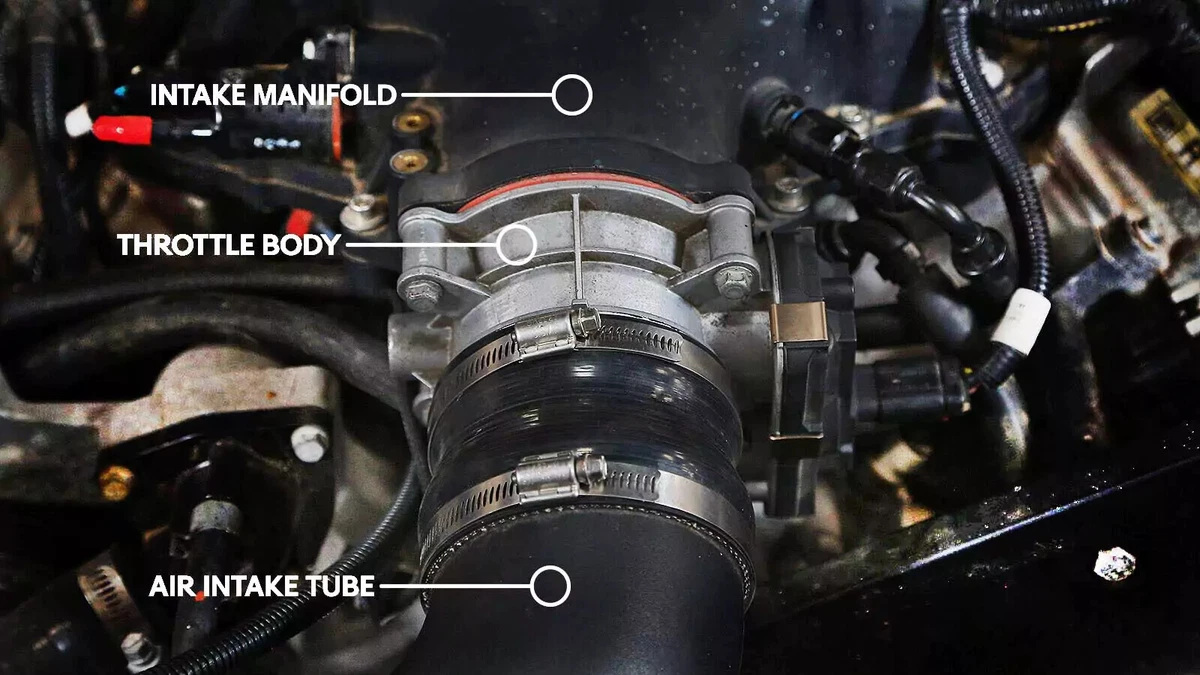 An annotated photograph showing the throttle body’s location between the air intake tube and intake manifold.