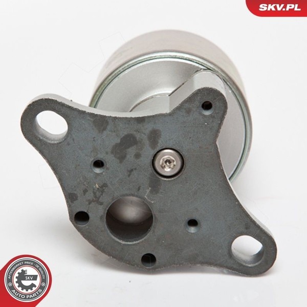 Esen SKV Agr-Ventil 14SKV056 Passend FüR Fiat Lancia-image