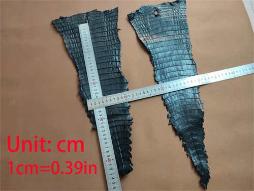 Real Crocodile Skin Hide Alligator Leather Exotic Pelt Craft DIY Material Strap - Picture 10 of 17