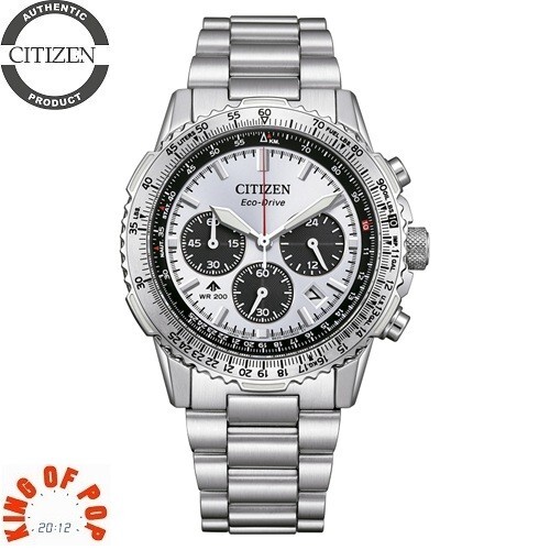 CITIZEN CA4660-61A Promaster ,*FREE SHIPPING* | eBay