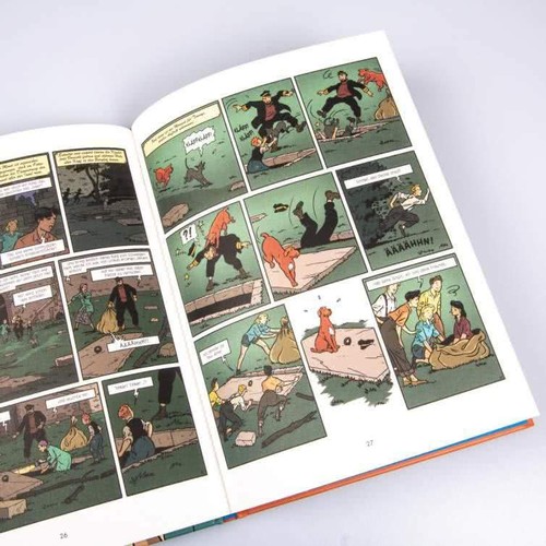 Fünf Freunde Comic 1-7 HC (aus Liste wählen) - Carlsen Comics, Enid Blyton - 第 19/51 張圖片