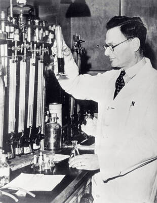 Professor Hans Krebs in His Laboratory - England Photograph of - 1953 Old Photo