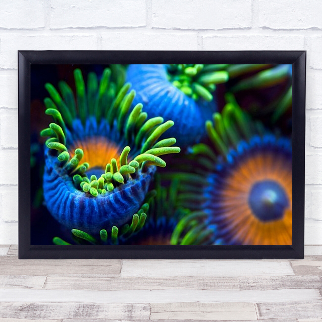 Los Colores De Arrecife II Acuario De Coral Subacuático Vigo España Estampado Arte Pared