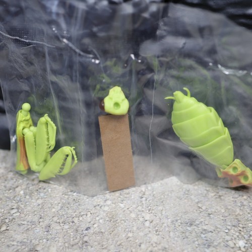 New Praying Mantis Series Vol.4 Figure BANDAI from Japan - Picture 55 of 58