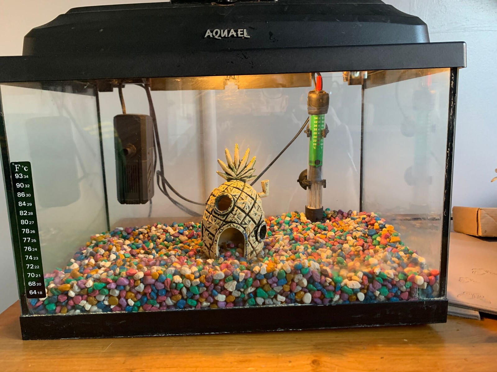 Aquael Fish Tank With Pump Filter Plants Stones EBay aquael-fish-tank-with-pump-filter-plants-stones-ebay