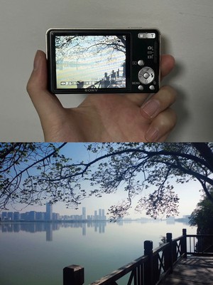 SONY cyber-shot DSC-W350 SDカード&ストラップ付 Amazon.com : Sony DSC-W350 14.1MP Digital Camera with 4x Wide
