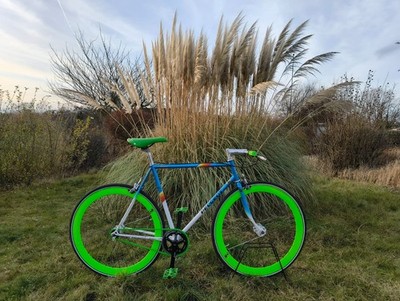 Custom Single Speed / Fixie   handgefertigt   RH 55 cm   28 Zoll
