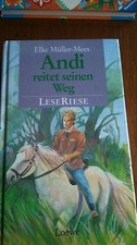 Jugendbuch "Andi reitet seinen Weg"" von Elke Müller-Mees, 346 Seiten