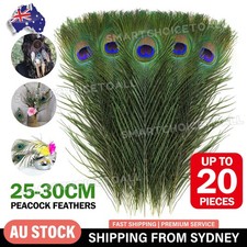 5-20pcs 25-30cm Natural Genuine Peacock Eye Feathers Vase Home Decor DIY Craft