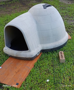 Petmate Dogloo Outdoor Plastic Dog House Portable Large Igloo Style Shelter